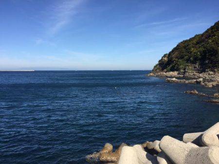 方杭漁港で初春イカ